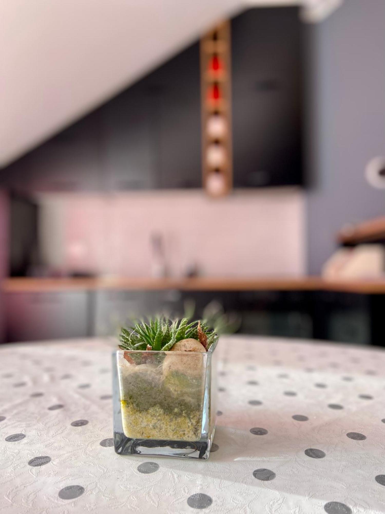 Banicevic Apartmani Ðenovići Esterno foto